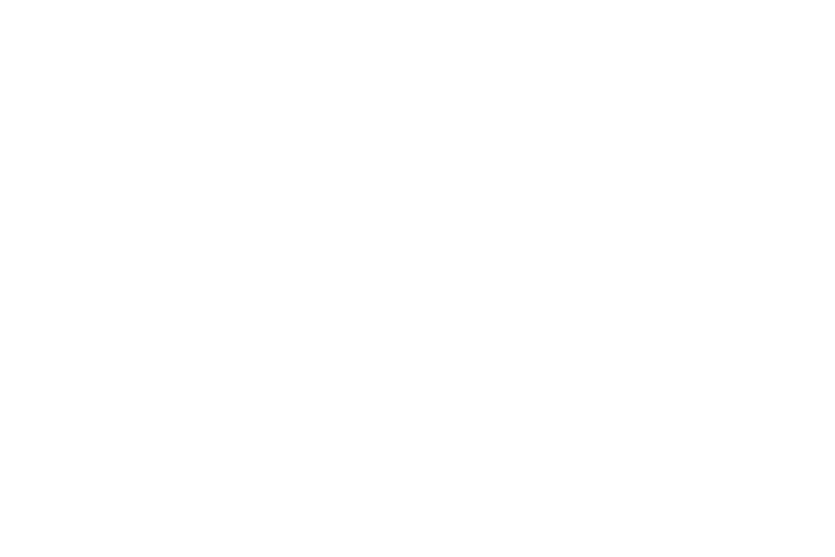 السنة الاولى - العدد الثاني